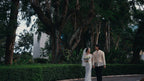 The Wedding PowerGrade