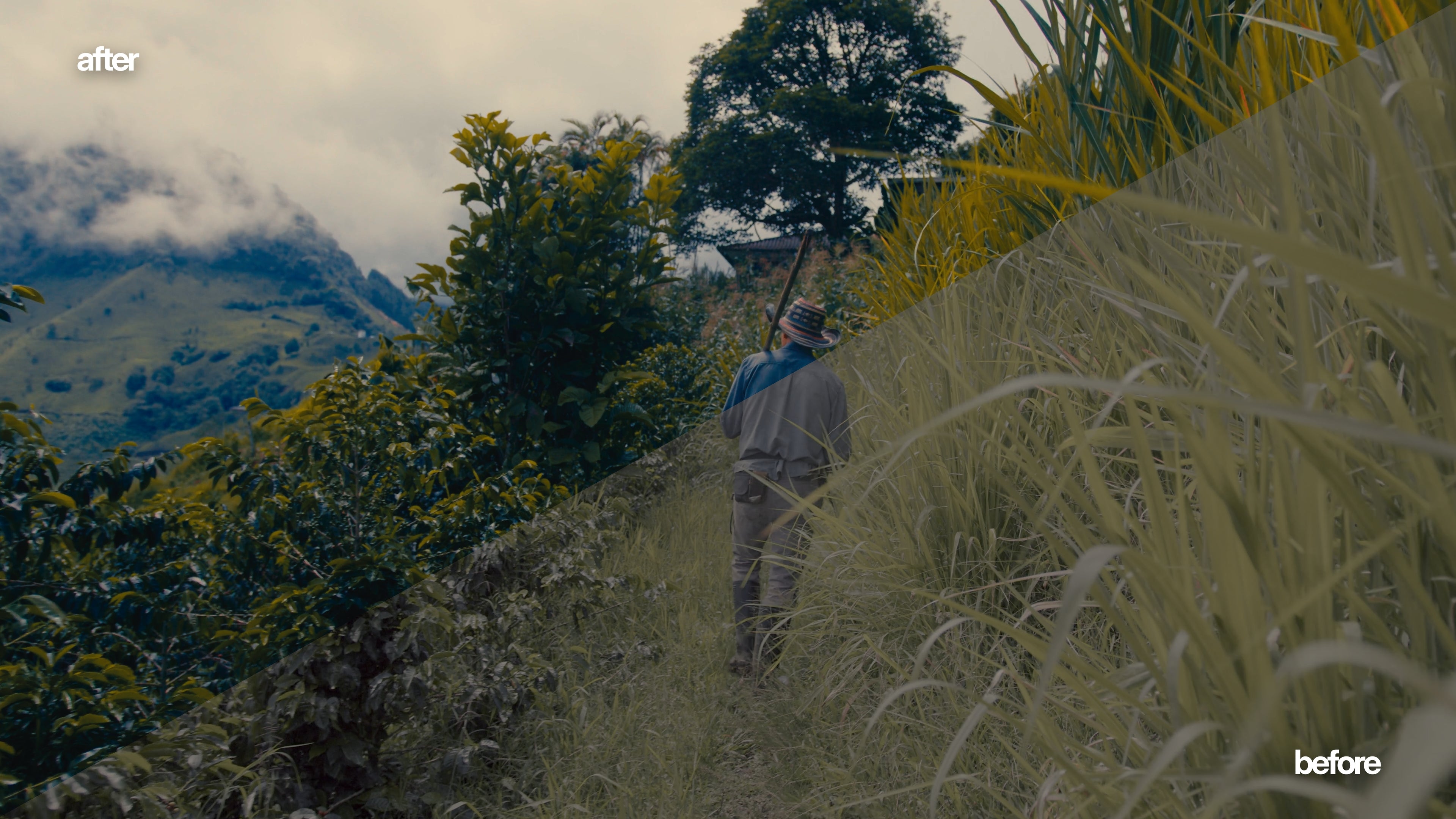 Signature LUT